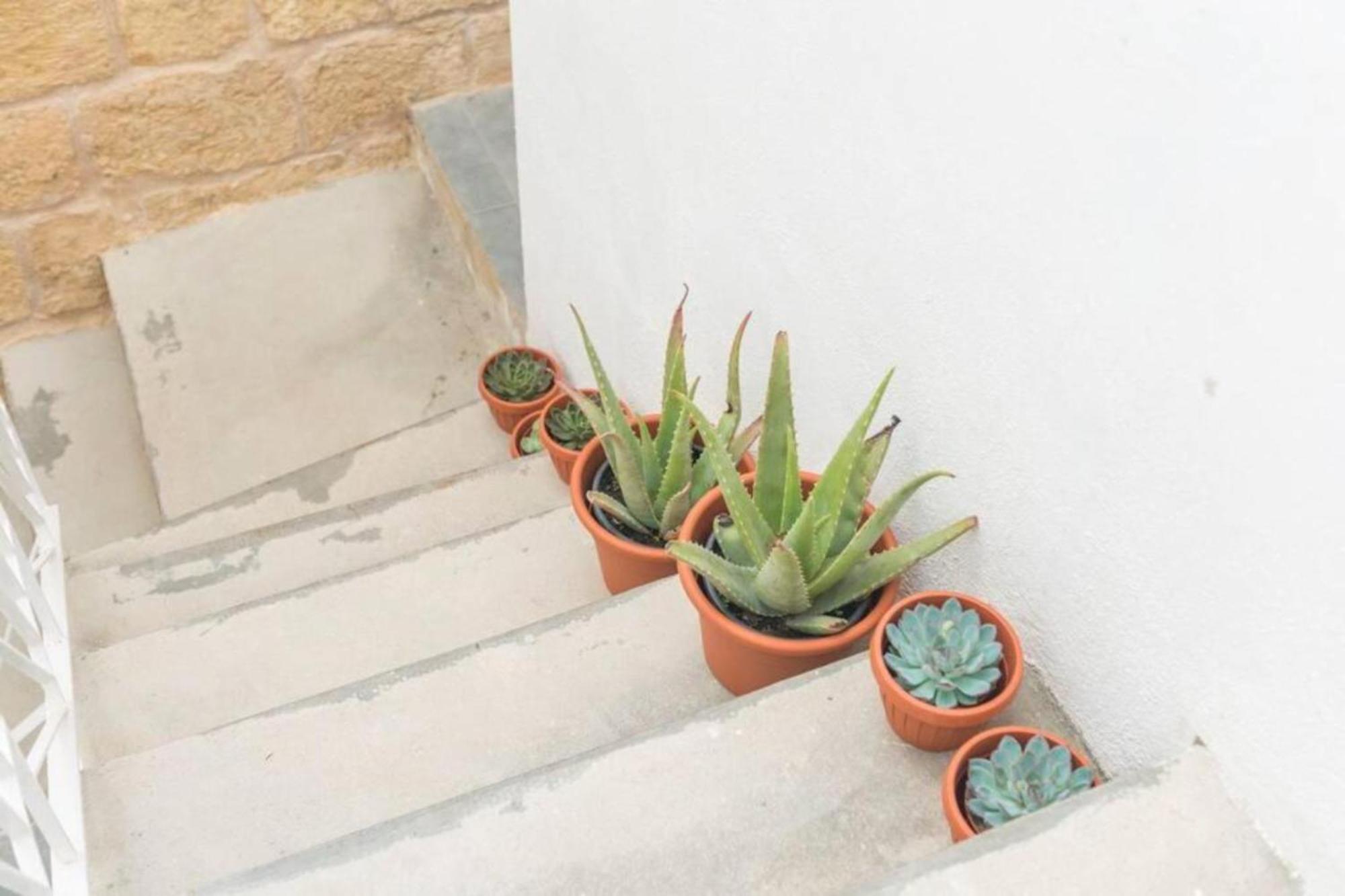 Authentic Gf Apartment With Terrace At The 3 Cities Marina Cospicua Dış mekan fotoğraf